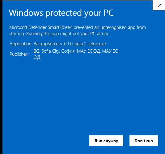 The same window after More info, showing the application name, the publisher and the Run anyway button
